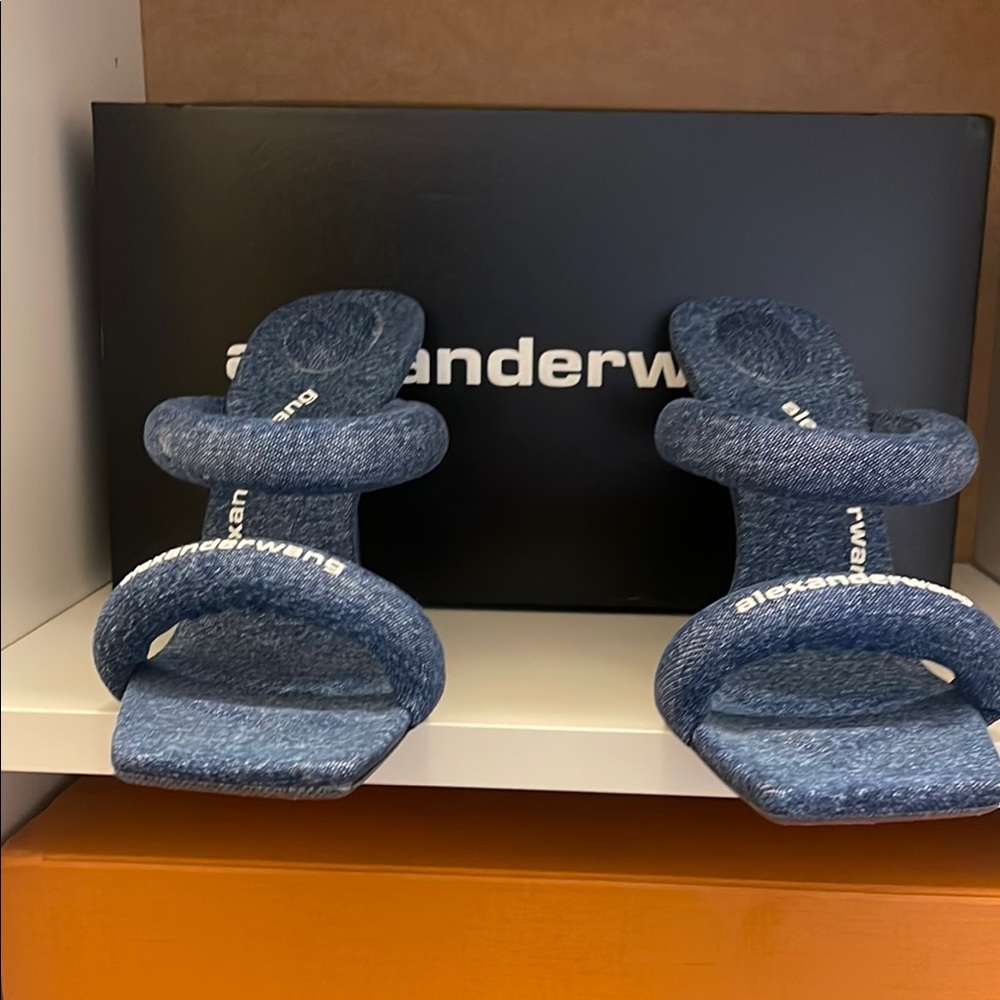 Alexander Wang Blue Sandals